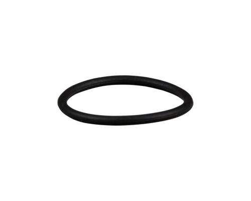 Уплотнительное кольцо ifm electronic E30054