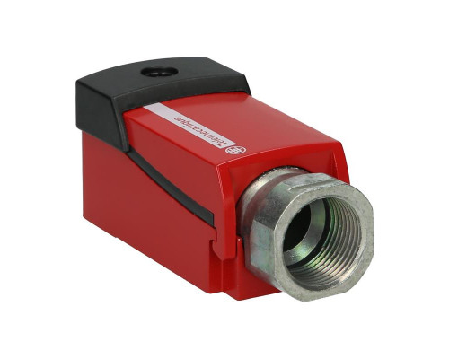 Переключатель положения безопасности Schneider Electric Telemecanique XCSD3910P20
