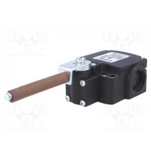 FX 553-E0V9 Pizzato Elettrica Конечный выключатель с фарфоровым поворотным рычагом