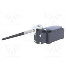 FD 534 Pizzato Elettrica Конечный выключатель, пружинный рычаг с пластиковым наконечником