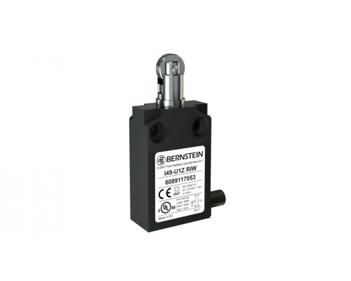Роликовый толкатель 6089117053 I49-U1Z RIW Роликовый толкатель 6089117053 I49-U1Z RIW
